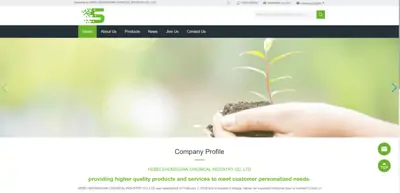 Screenshot of Hebei Shengsuan Chemical Industry Co.,Ltd.