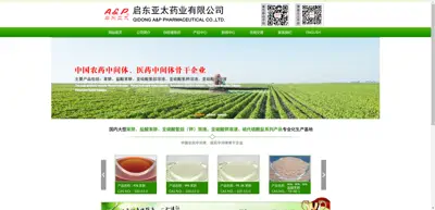 Screenshot of Qidong Asia Pacific Chemical Plant Co., Ltd