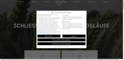 Screenshot of Bollmer Holding GmbH