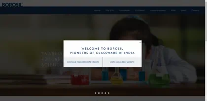 Screenshot of Borosil Limited