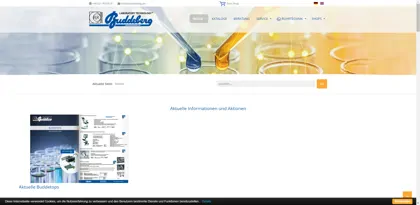 Screenshot of Buddeberg GmbH