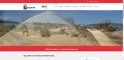 Causmag Iinternational