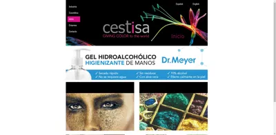 Screenshot of CESTISA