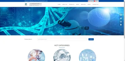 Screenshot of Shandong Chenxi Pharmaceutical Technology Co., Ltd.