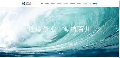 Screenshot of Jiangsu Tianyin Chemical Co., Ltd