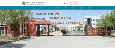 Shandong Dayi Chemical Co., Ltd