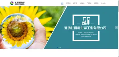 Screenshot of Weifang Dudeli Chemical Industry Co., Ltd