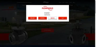 Screenshot of Flowserve Flow Control GmbH