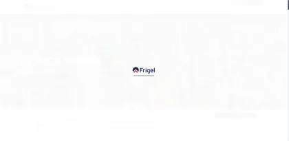 Screenshot of Frigel Firenze S.p.A.