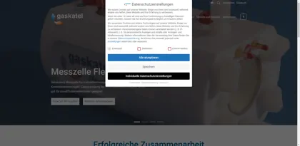 Screenshot of Gaskatel GmbH