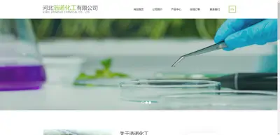 Screenshot of Hebei Haonuo Chemical Co., Ltd