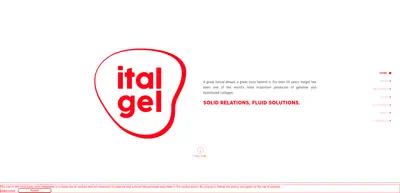 Screenshot of Italgelatine SpA