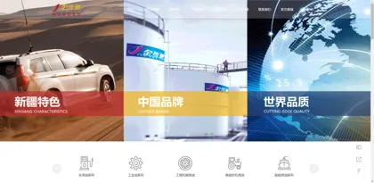 Screenshot of Urumqi City Longcheng Industrial Co., Ltd