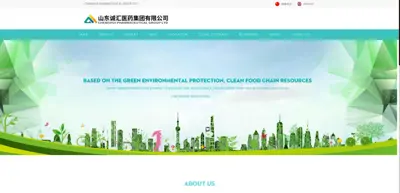 CHENGHUI PHARMACEUTICAL GROUP LTD.