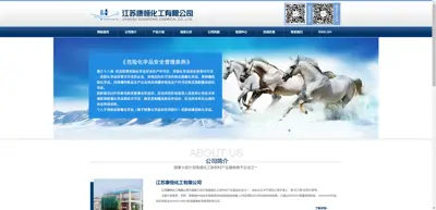 Screenshot of Jiangsu Kangheng Chemical Co., Ltd