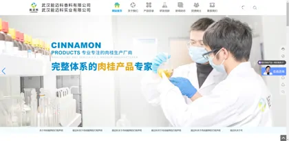Screenshot of Wuhan Nengmaike Industrial Co., Ltd.