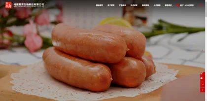 Screenshot of Henan Longxiao Biotechnology Co., Ltd.