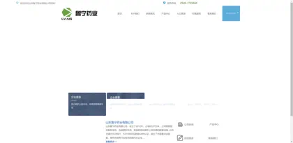 Screenshot of Shandong Luning Pharmaceutical Co., Ltd.
