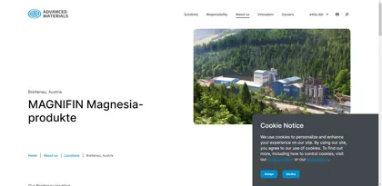 Screenshot of MAGNIFIN Magnesiaprodukte GmbH & Co KG