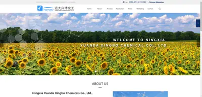 Screenshot of Ningxia Yuandaxingbo Chemical Co., Ltd