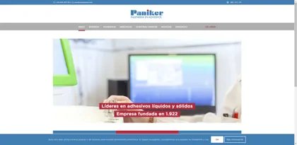 Screenshot of PANIKER, S.L.