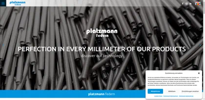 Screenshot of Platzmann Federn GmbH & Co. KG
