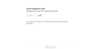 Screenshot of Reagecon Diagnostics Limited