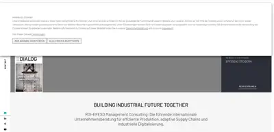 Screenshot of ROI Management Consulting AG