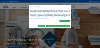 Screenshot of Salinen Austria AG