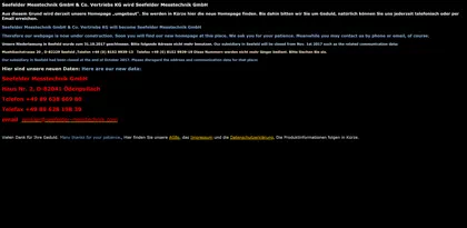 Screenshot of Seefelder Messtechnik GmbH