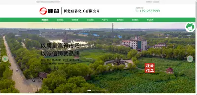 Hebei Silicon Valley Chemical Co., Ltd