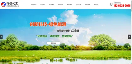 Screenshot of Tai 'an City Zixin Chemical Co., Ltd