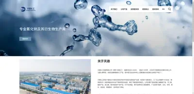 Screenshot of Tiande Chemical Holdings Limited 