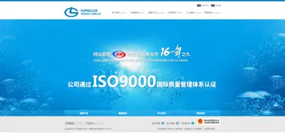 Screenshot of Tesili Chemical Co., Ltd