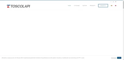 Screenshot of TOSCOLAPI Srl