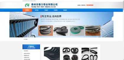 Screenshot of Taizhou City Taili Belt Industry Co., Ltd