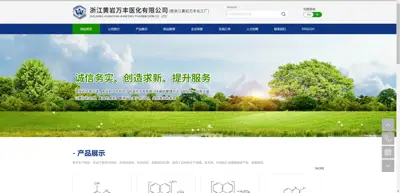 Screenshot of Zhejiang Huangyan Wanfeng Medical Chemical Co., Ltd