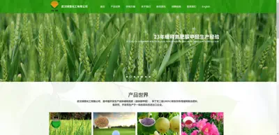 Screenshot of Wuhan Lvyin Chemical Co., Ltd