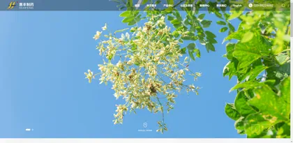 Screenshot of Shaanxi Huifeng Pharmaceutical Co., Ltd.