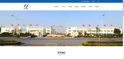 Screenshot of Qidong Mixer Factory Co., Ltd