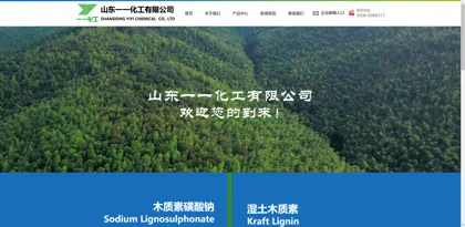 Screenshot of Shandong Yiyi Chemical Co., Ltd.