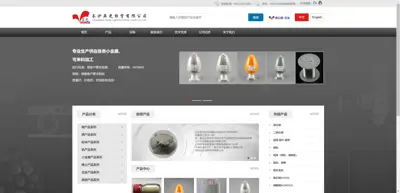 Screenshot of Changsha Yaguang Economic and Trade Co., Ltd