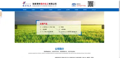 Screenshot of Zhangjiagang Zhenfang Chemical Co., Ltd