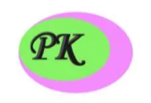 Logo of PK Chem Industries Ltd