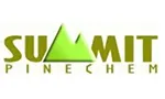 Logo of Summit Trade Pte Ltd