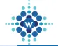 Logo of Ningbo Waylead Biotechnology Co., Ltd.